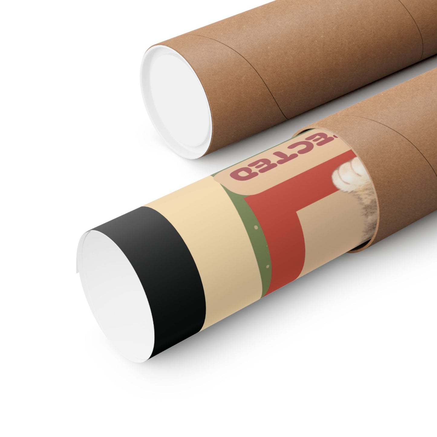 Personalized Cat Room Poster — "Password Protected" Matte Vertical Poster